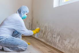 Reliable Stony Point, NC Mold Remediation Solutions